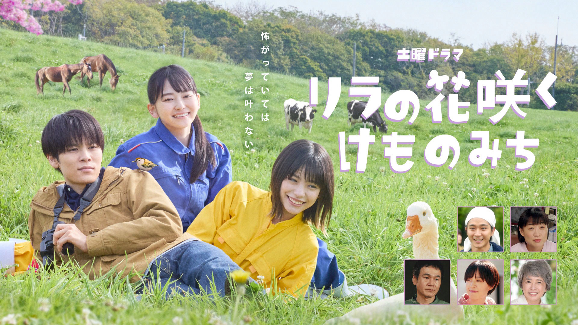 土曜ドラマ「リラの花咲くけものみち」主題歌・メインビジュアル発表 