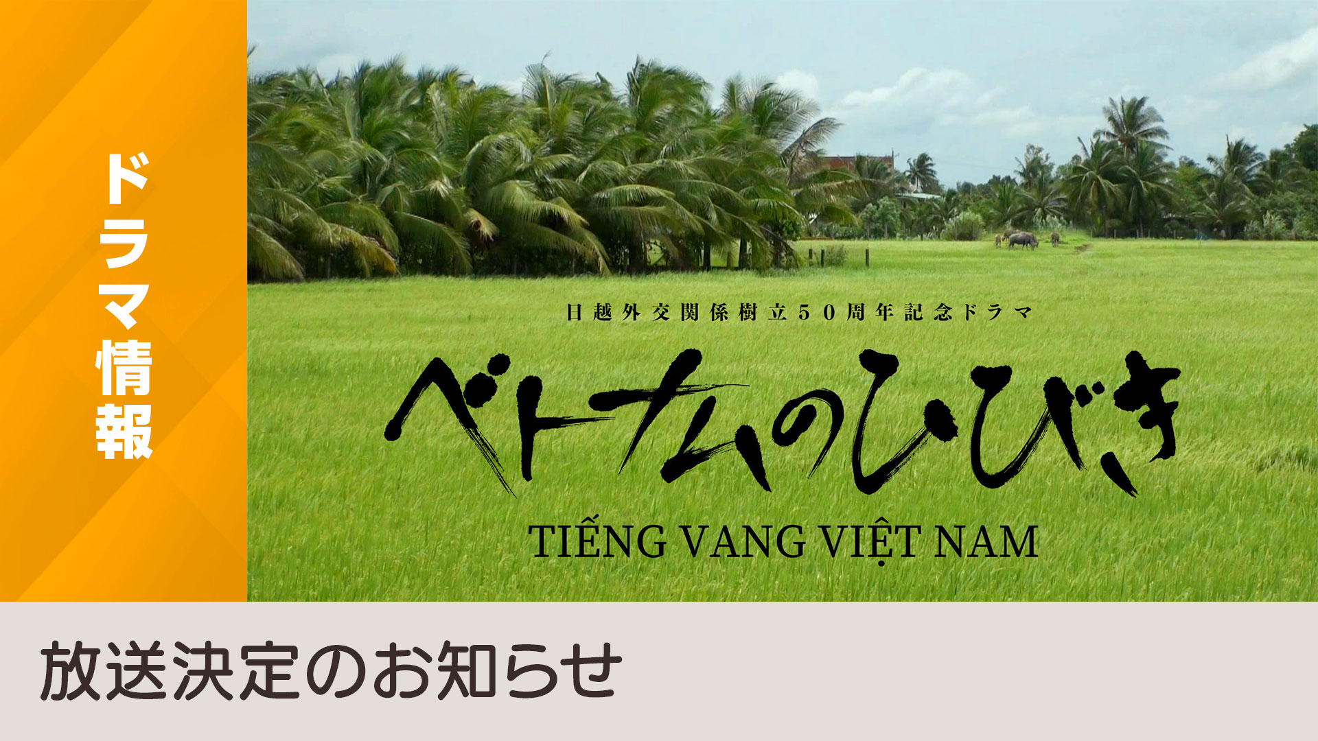 nhk ベトナム語放送, ベトナム語入門 – UNGM