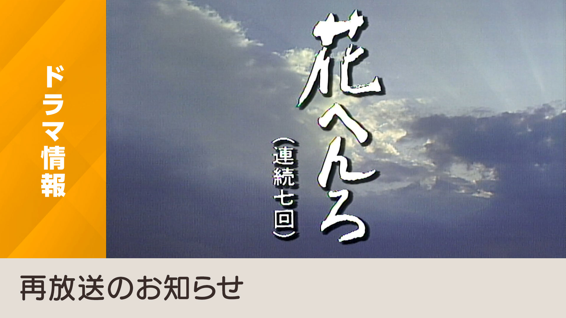 主演・桃井かおり×作・早坂暁の名作を4Kで再放送「花へんろ～風の昭和日記～」 - NHK