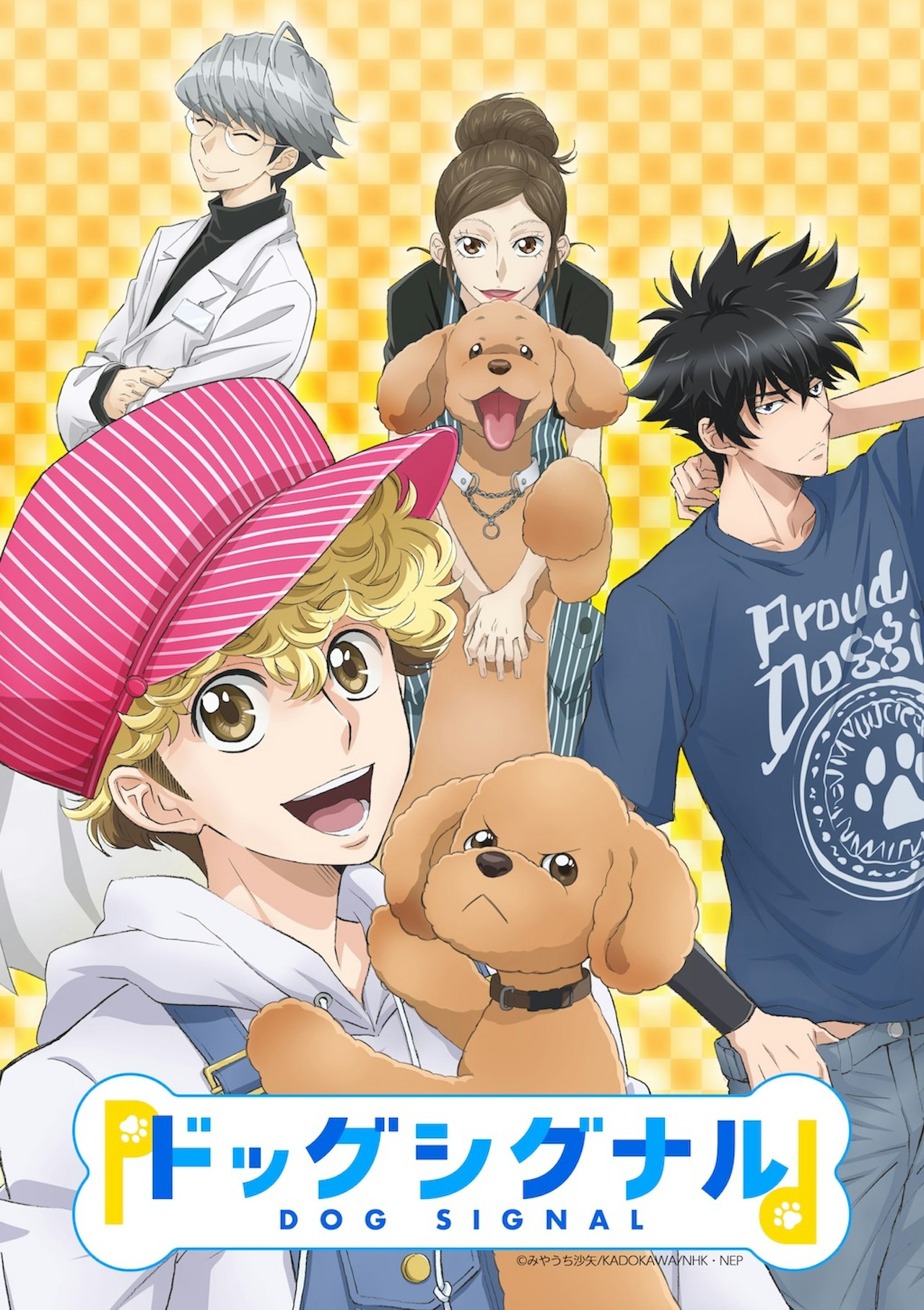 ドッグシグナル アニメ ひどい