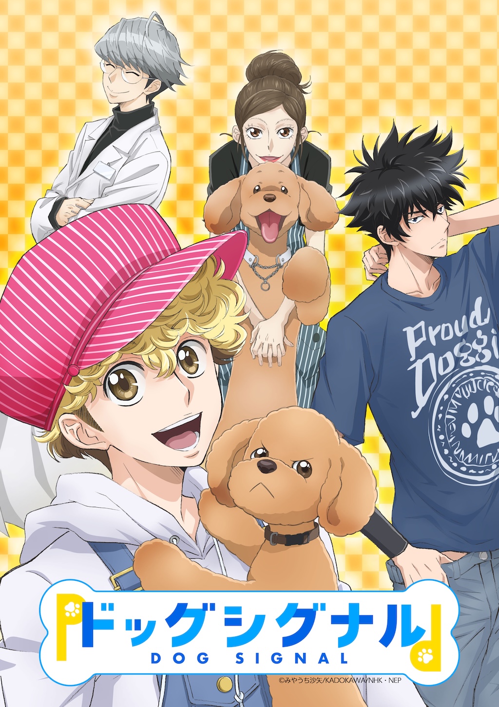 アニメ放映決定！　【全15巻セット】DOG SIGNAL ドッグシグナル アニメ「ドッグシグナル」 2026年4月から再放送決定！ - NHK