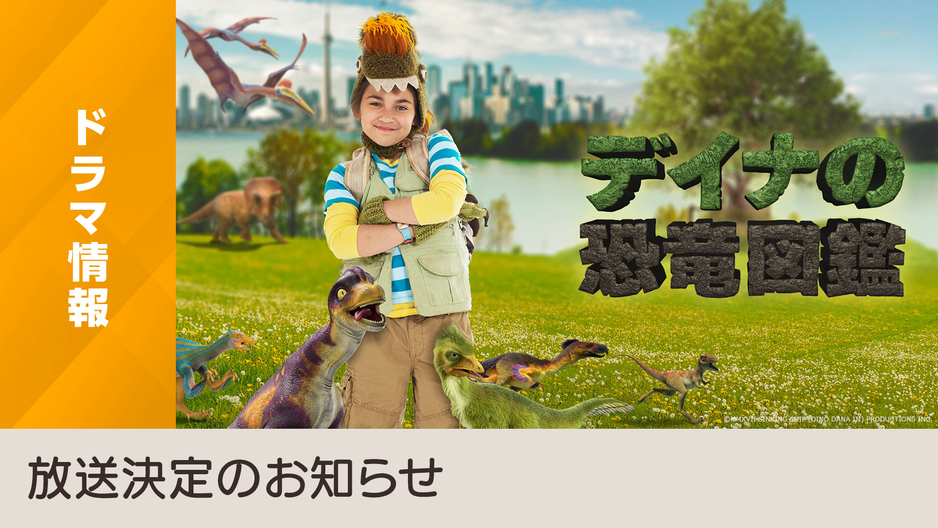 ラフェペ・ジドブディナのリーフレット