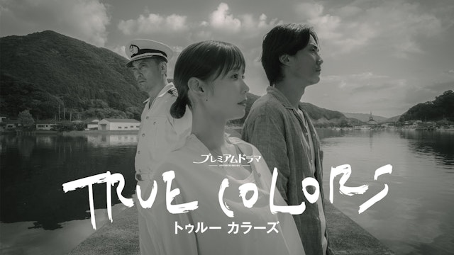 TRUE COLORS記事誘導